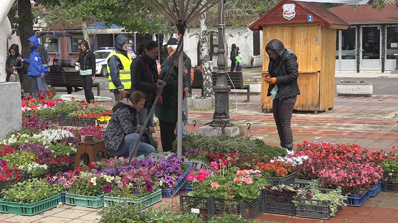 Festival Cveća Kostolac 05