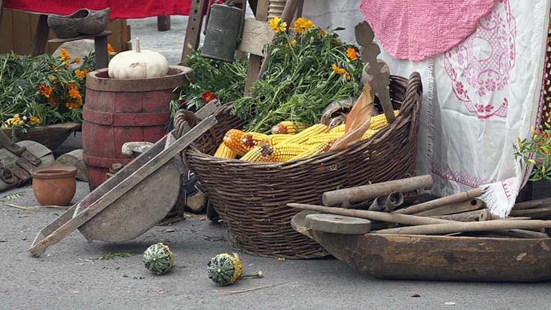 Miholjski Susreti Sela 01