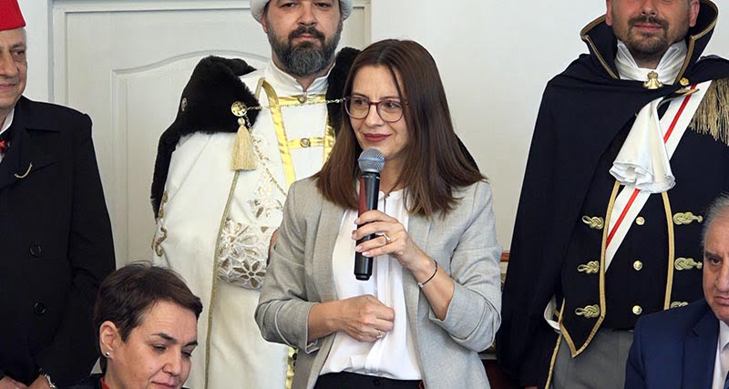 Vg Temišvar 08