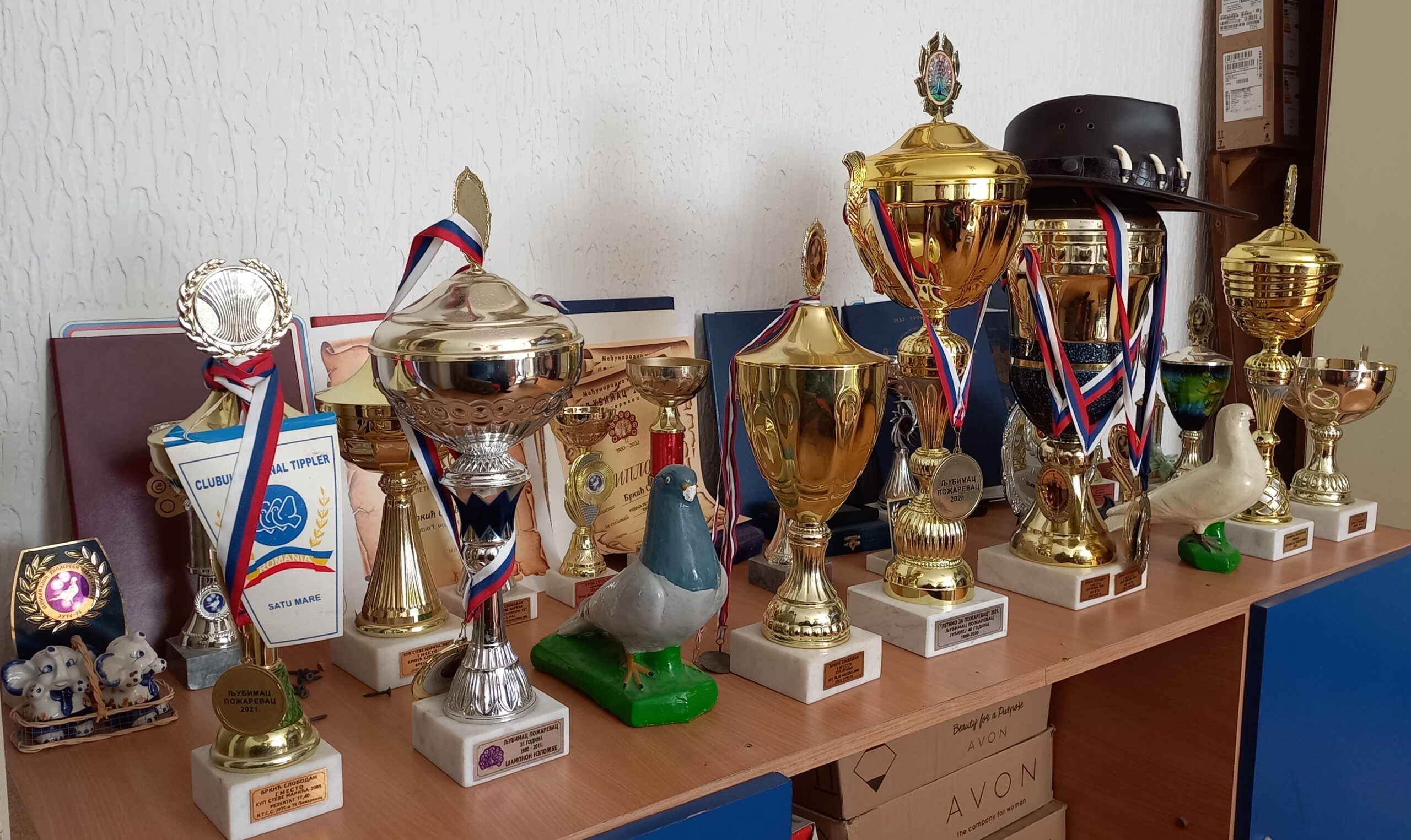 PoleteĆe Beli Golub Naslovna