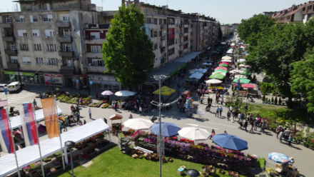 Festival Cveca 2024 (1)