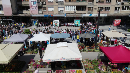 Festival Cveca 2024 (10)