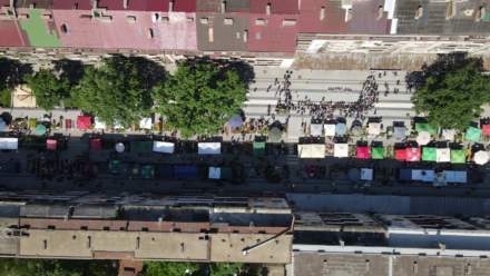 Festival Cveca 2024 (15)