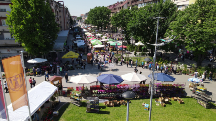 Festival Cveca 2024 (3)