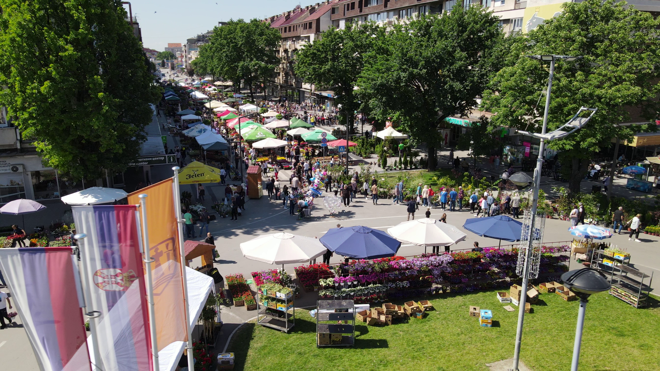 Festival Cveca 2024 (4)