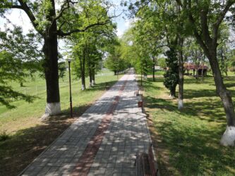 Ljubicevo ergela