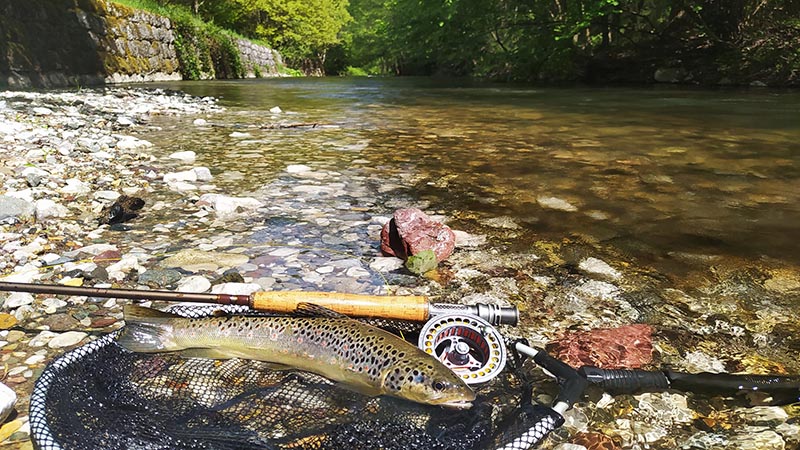 Mušičarenje Osr Smuđ 01