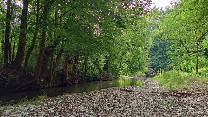 Mušičarenje Osr Smuđ 03