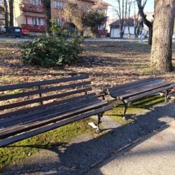 Fb Img 1735577705858