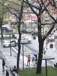 Img e1be81abc1916ef015143e09c608591e v