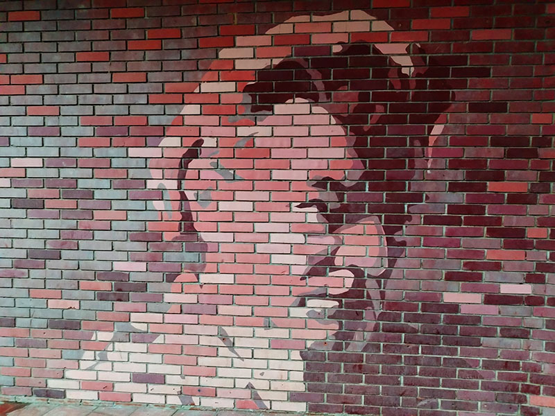 Kiša kučevo biblioteka 06