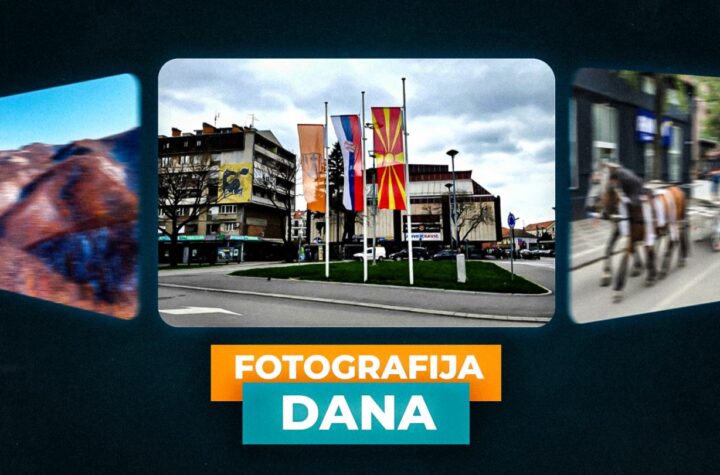 Foto dana