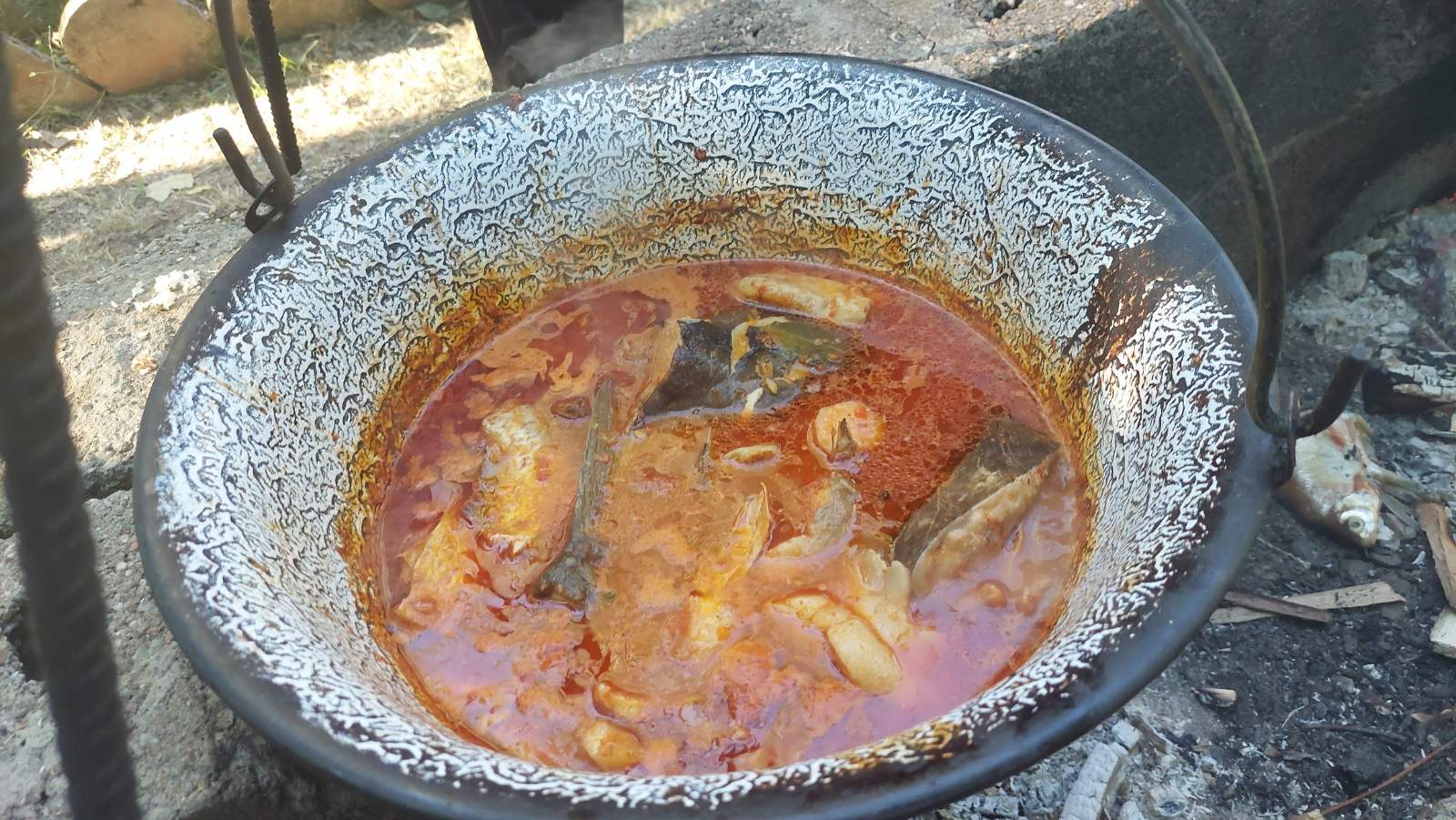 Img 85592b50adffb9703a82f4626c5f86d0 v