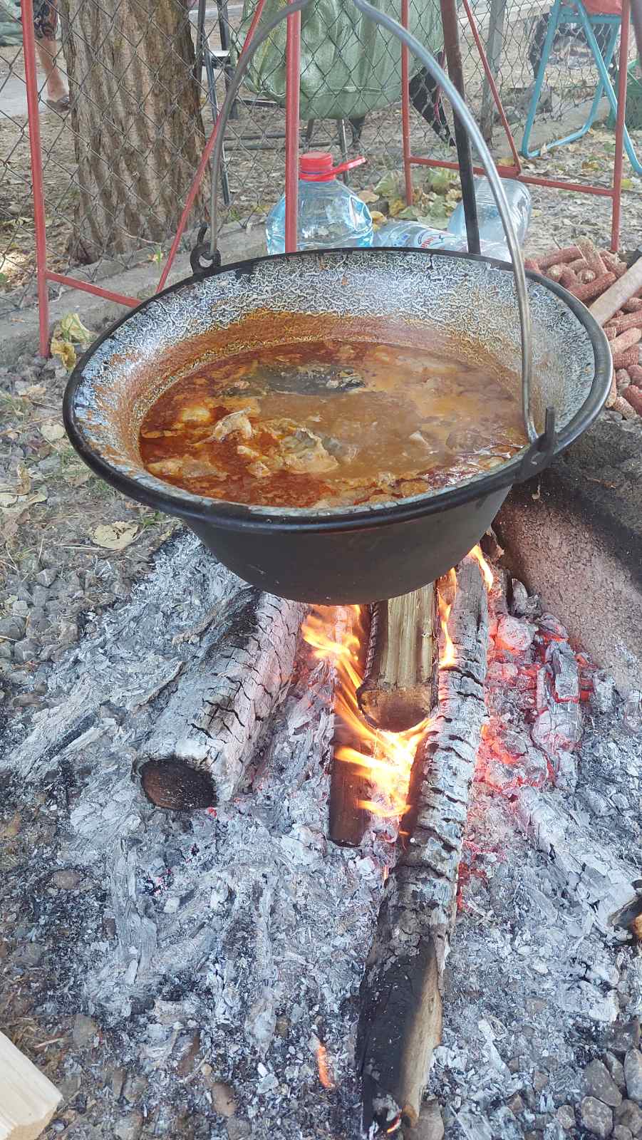 Img dd7a393a2d5739c41e87da1d7d12f463 v