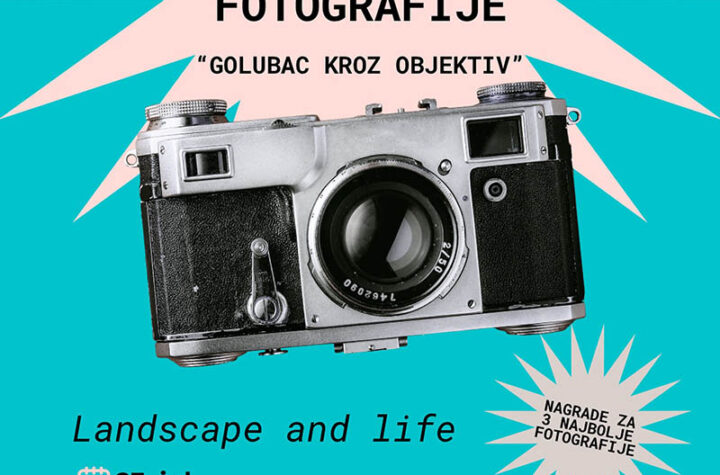 516735842 18353102167158019 5973734640673375646 n