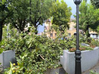 Img 0da355bc1bb55faabdd7da61ca5d5a92 v