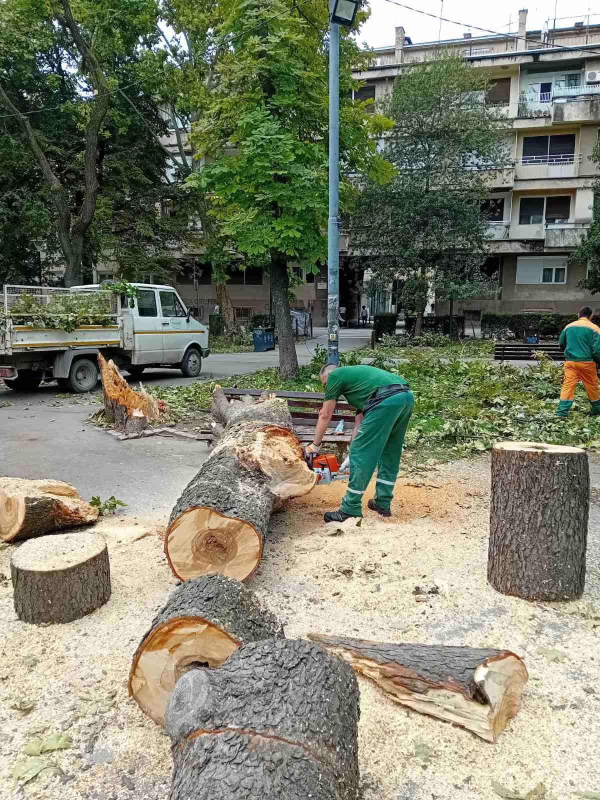 Img 2004569301521e2b6f8845cac6fd65d1 v