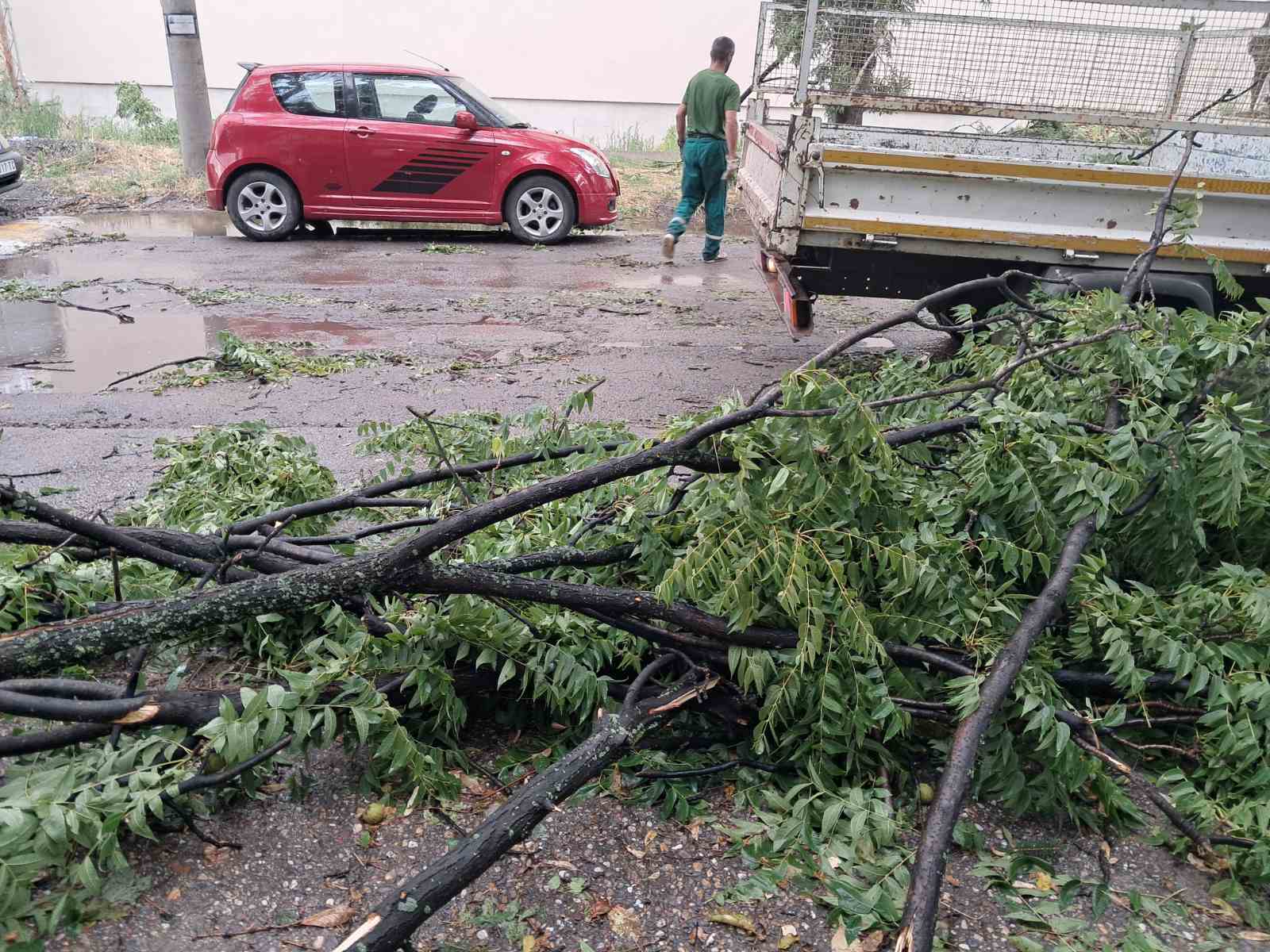 Img 431a48fd7bbc4d3e7208f108537cf858 v