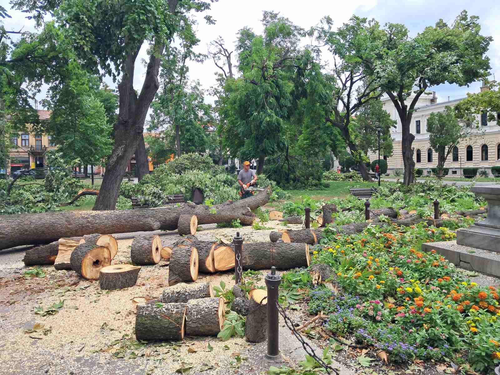 Img 72d918612ba809c0d6c886c75785f380 v