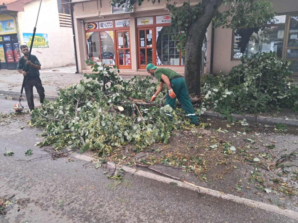 Img 8122180d17d4c3923789c6bd333d1d79 v