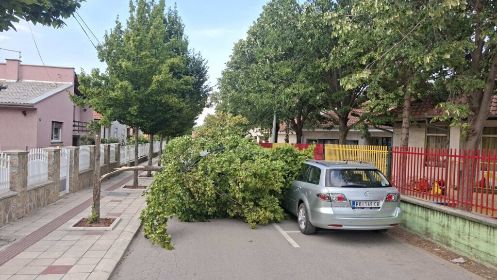 Img bad6951b80b4b772973e1611840eb9d3 v