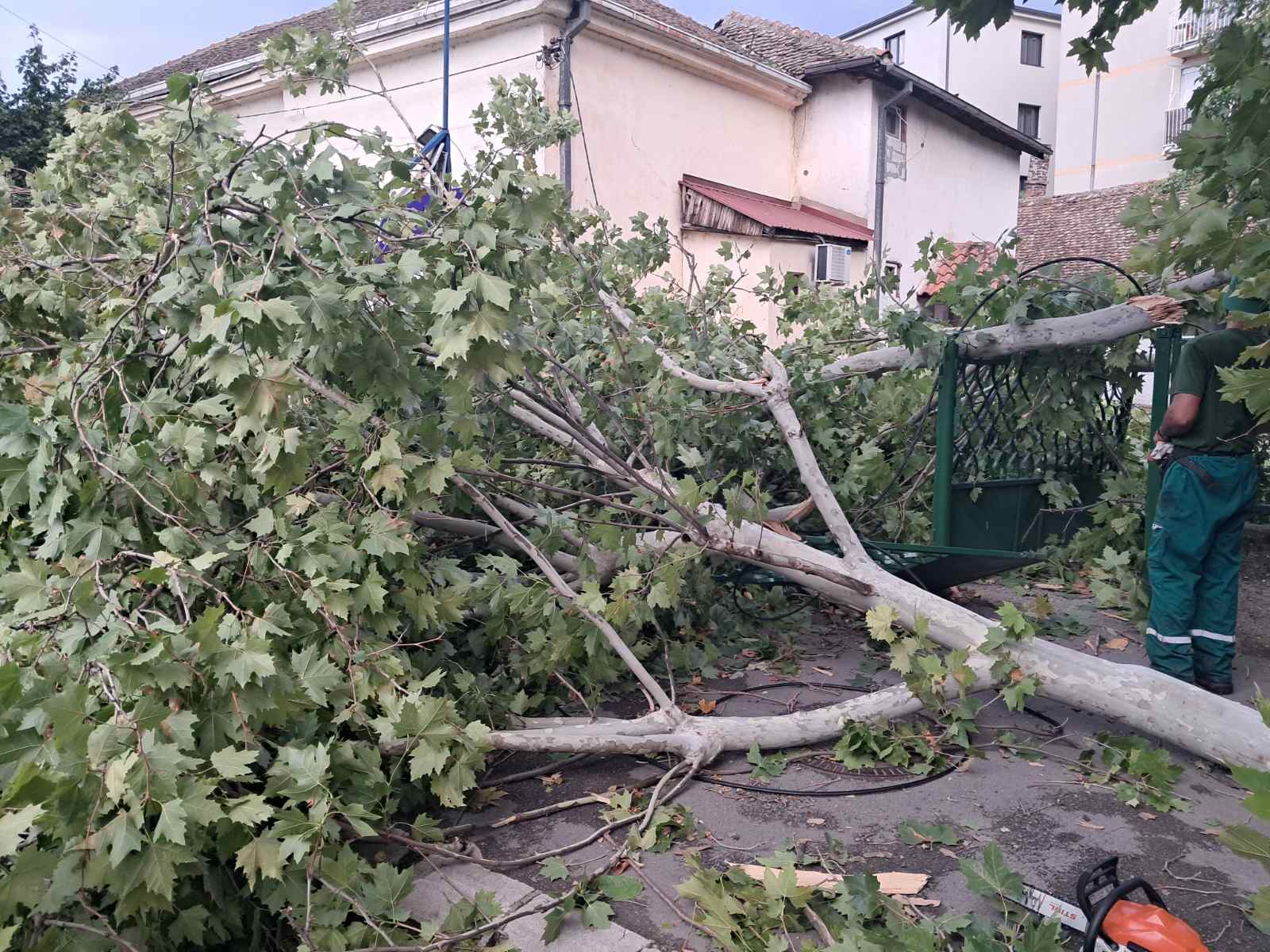 Img c3409db040e28208d6c482a03b7c2f77 v