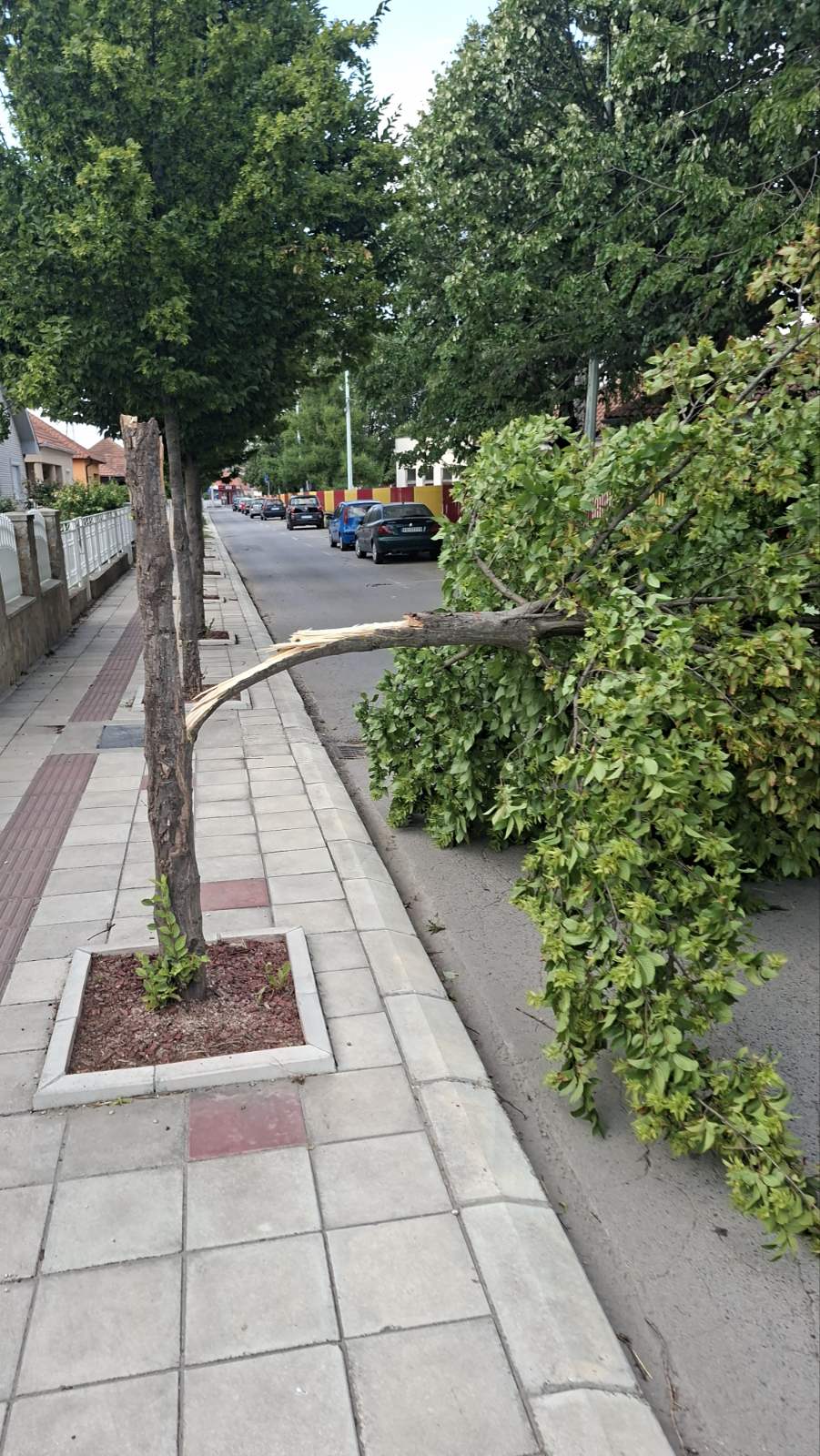 Img cc6f0192214ce6cb955538b6d063ffc5 v