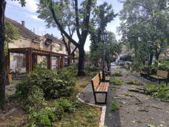 Img e41daeb1f41c088547a217546d0118aa v