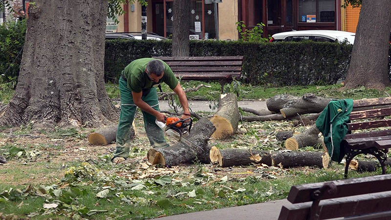 Park oluja radnici 01