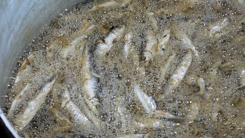 Riblja corba vg 03 girice