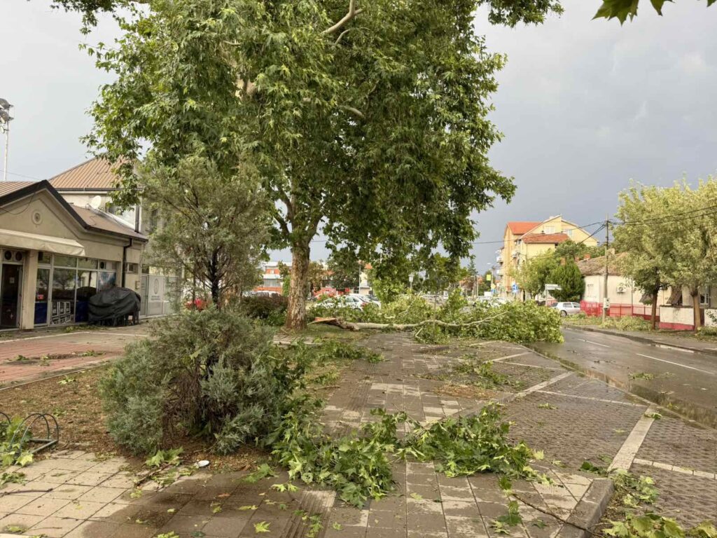 Viber slika 2025 07 26 19 36 38 617