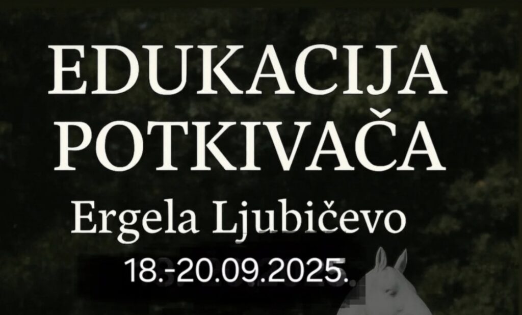 Screenshot 20250819 151543 gallery