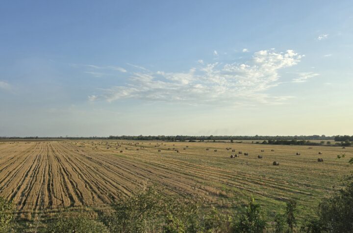 Vreme poljoprivreda njiva sunce suncano leto