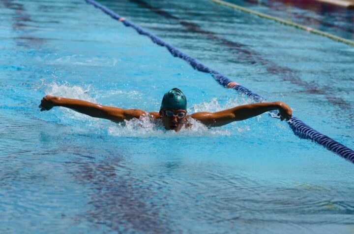 Delfin stil plivanje