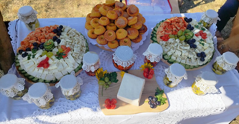 Medveđica sir i proja 05