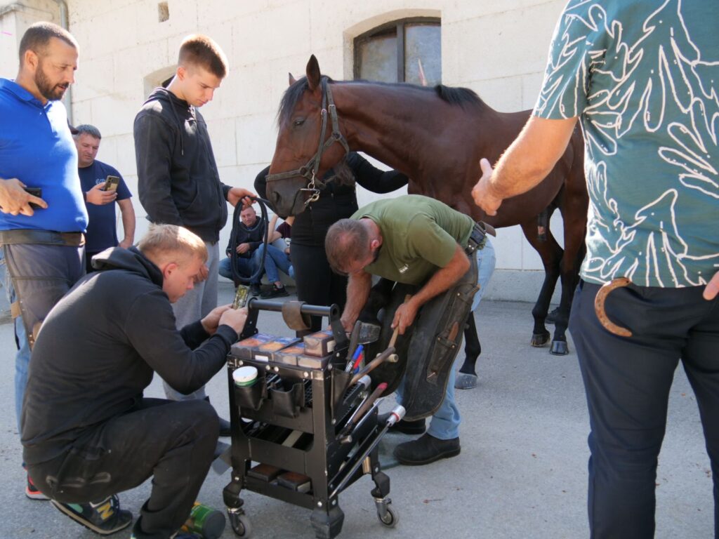 Img 1e66093d560382f06abaa9cda9adfd19 v