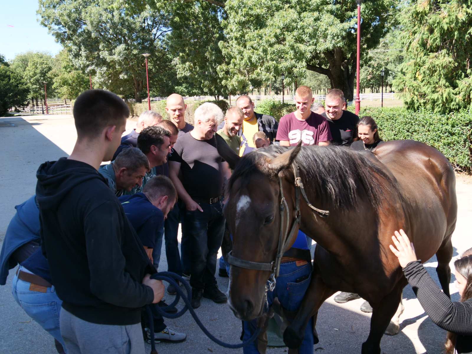 Img e6e90e6a2919895ef5f4e4a905456300 v