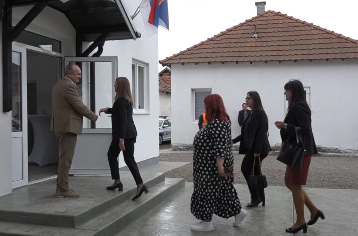 Dan žagubica 04