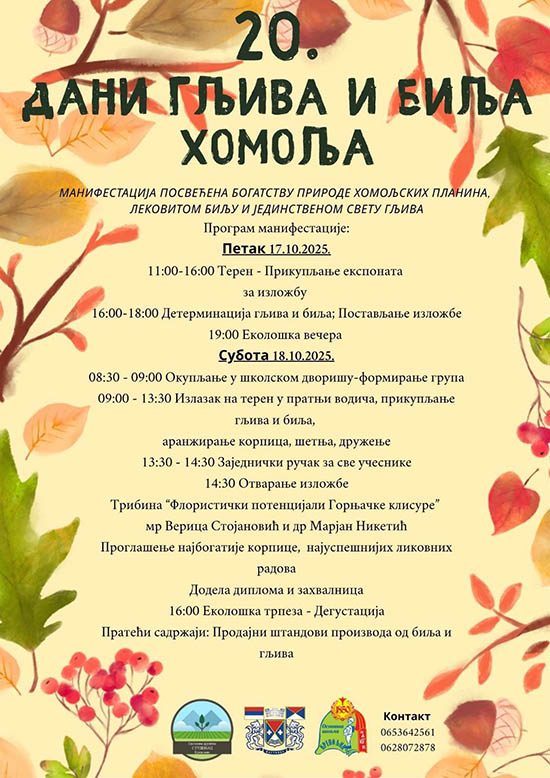 566205881 2067756277366792 3308796507832030171 n