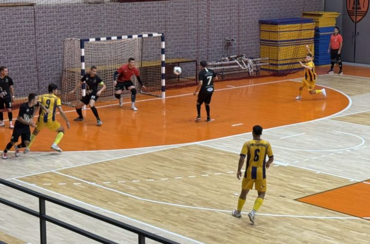 Kmf požarevac kmf wild boars