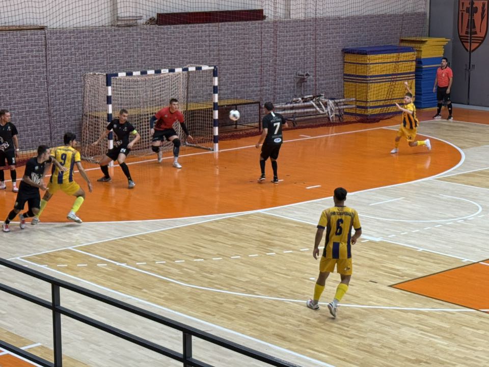 Kmf požarevac kmf wild boars