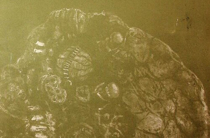 Image00002 1 499x540