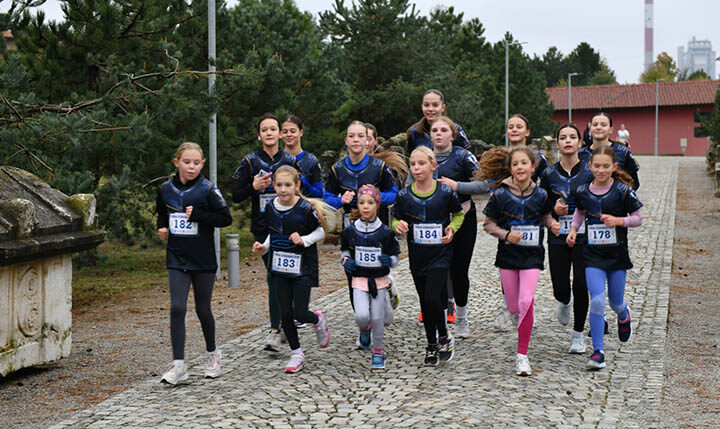 P1j6oei21k1n931l51mn2dengl9c