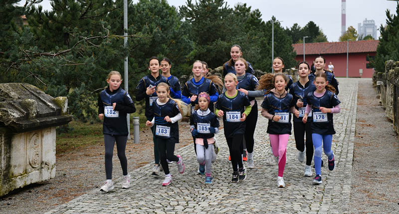 P1j6oei21k1n931l51mn2dengl9c