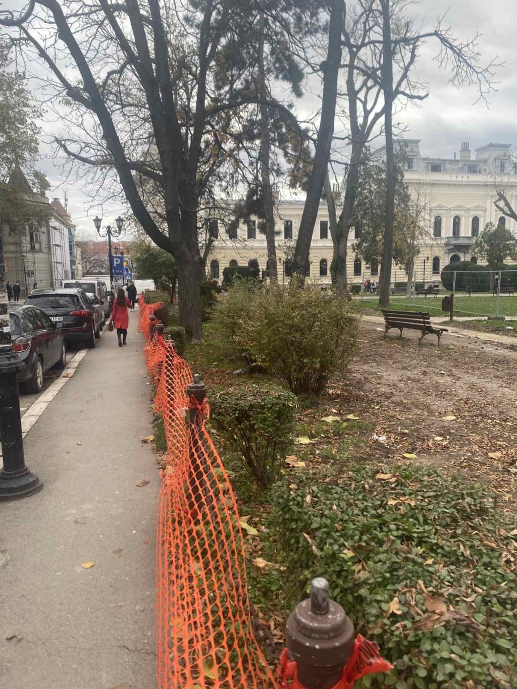 IMG cf00036cb0115e1d4ac96dfd9a79e408 V