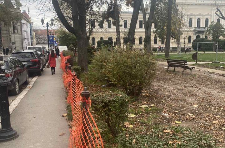 IMG cf00036cb0115e1d4ac96dfd9a79e408 V