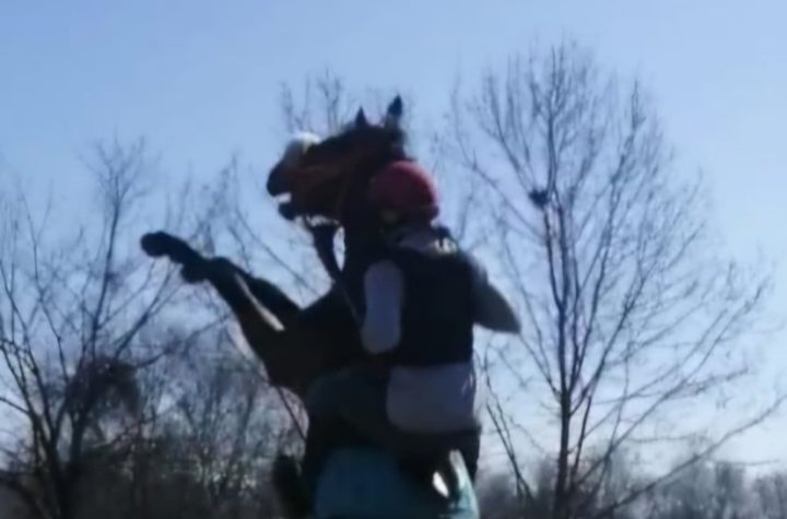 IMG 4963b24c5b2110c81a6f853d93f4a75d V