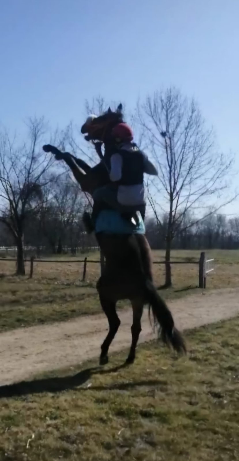 IMG 4963b24c5b2110c81a6f853d93f4a75d V