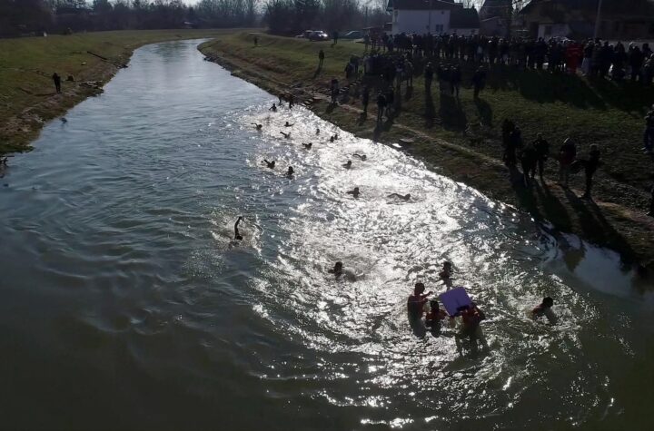 Mlava plivanje za casni krst bogojavljanje