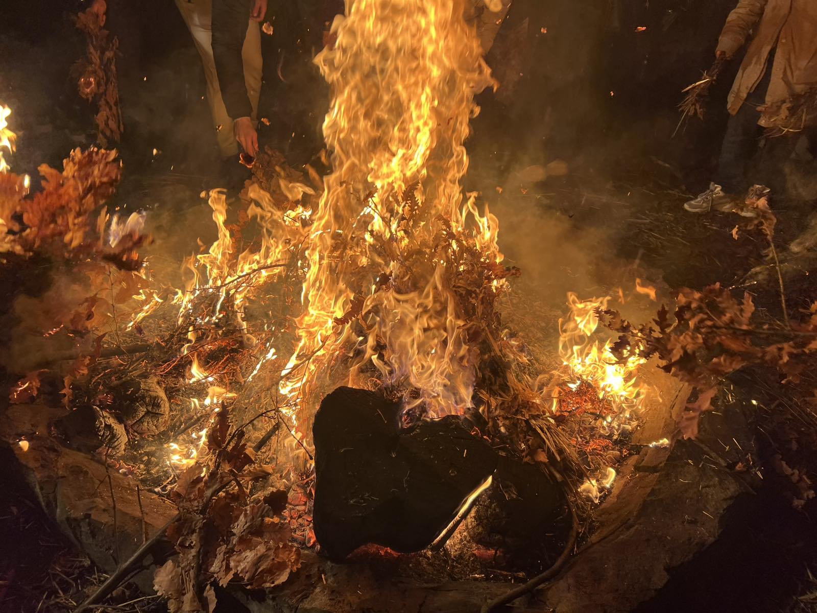 IMG 94b6835f6be630701b56d3414f136793 V